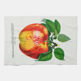 Apple Vintag Illustration Küchentuch