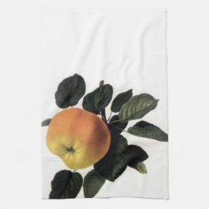 Apple vintage s'embranchent serviette de cuisine