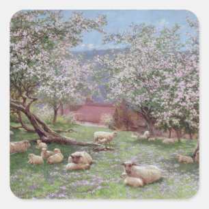 Appleblossom Quadratischer Aufkleber