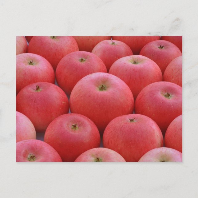 Apples entdecken postkarte (Vorderseite)