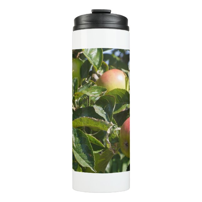 Apples ripening on an apple tree thermosbecher (Vorderseite)