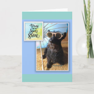 Apportez la carte Sunshine