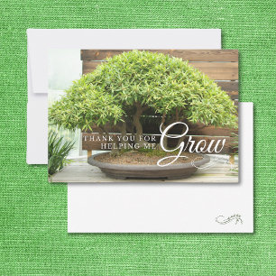 Appréciation de l'enseignant Bonsai Tree Carte de 