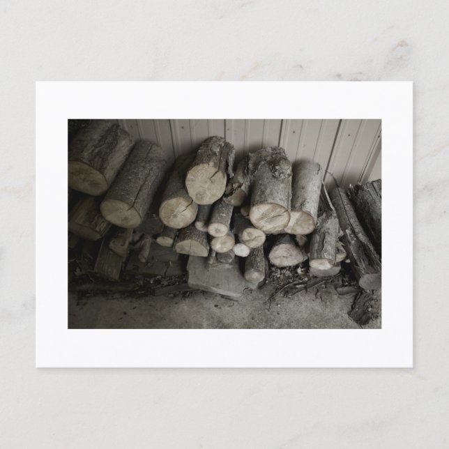 Approachable Wolf Post Card Print Postkarte (Vorderseite)