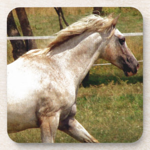 Appy Untersetzer