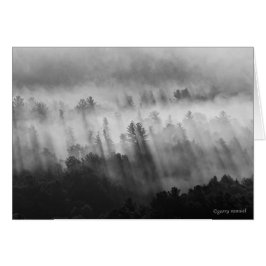 Après la pluie - ADK - Carte