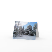 Après la tempête de neige - Carte de voeux pliée N
