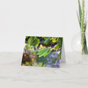 Après les cartes de note pluie