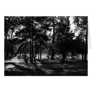 Après-midi dans le parc