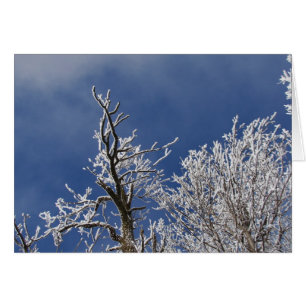 Après-midi Frosty Iowa