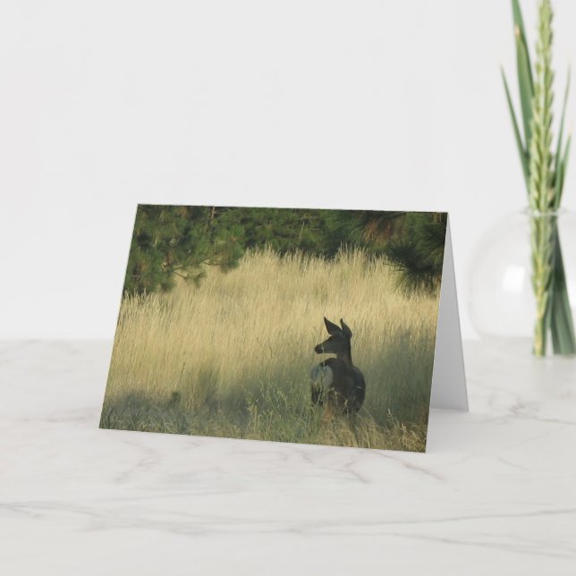 Après-midi Mulie, carte de voeux par la marque (Devant)