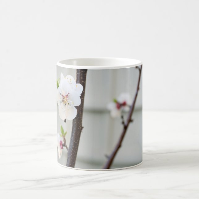 Apricot Blossom Kaffeetasse (Mittel)