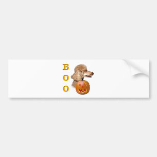 Apricot Coated Poodle Autoaufkleber