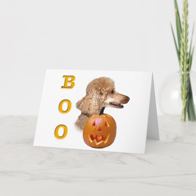 Apricot Coated Poodle Karte (Vorderseite)