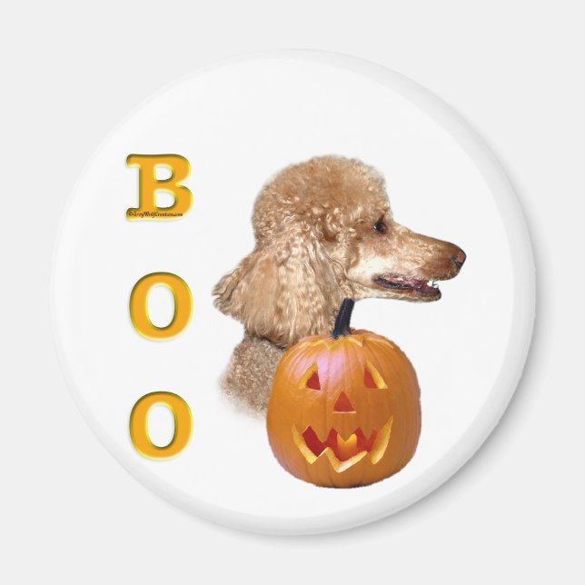 Apricot Coated Poodle Magnet (Vorne)