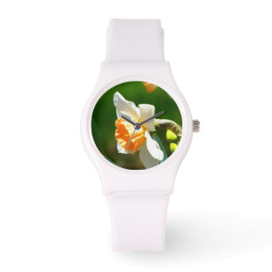 Apricot Daffodil montres