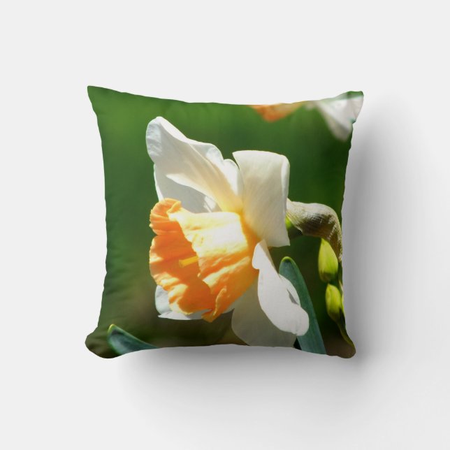 Apricot Daffodil Throw Kissen (Vorderseite)