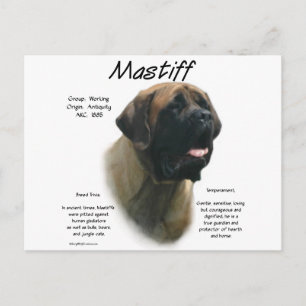 Apricot Mastiff Geschichte Postkarte