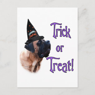 Apricot Mastiff Trick Postcard Postkarte