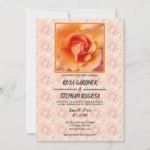 Apricot Peach Rose Blume Blossom Hochzeit