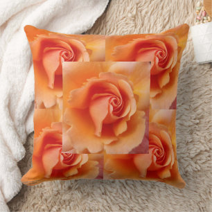 Apricot Peach Rose Blume Nah Up Foto gepolstert Kissen