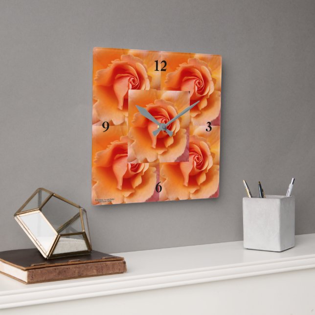 Apricot Peach Rose Blume Nah Up Foto Quadratische Wanduhr (Büro)