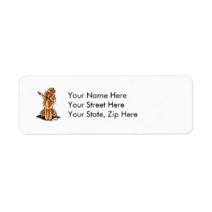 Apricot Poodle