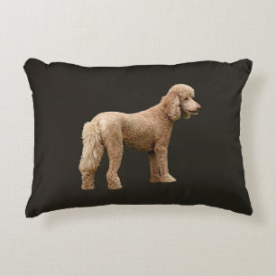 Apricot Poodle Dekokissen