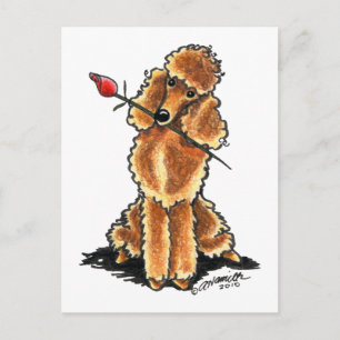 Apricot Poodle Feiertagspostkarte