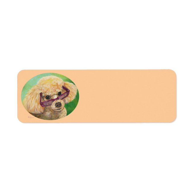 Apricot Poodle in Sonnenbrille Anschrift Labels (Vorne)