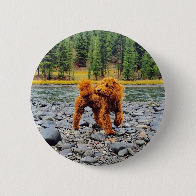 Apricot Poodle - individualisierbares Geschenk Button (Vorderseite)