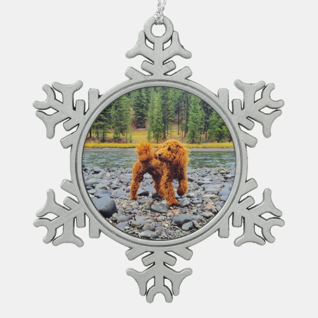Apricot Poodle - individualisierbares Geschenk Schneeflocken Zinn-Ornament (Vorderseite)