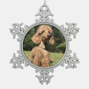 Apricot Poodle individuell anpassbar Schneeflocken Zinn-Ornament