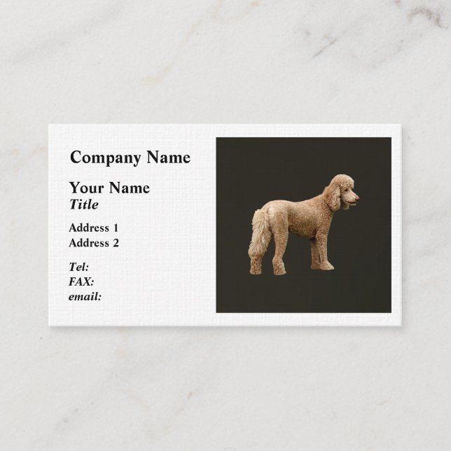 Apricot Poodle Visitenkarte (Vorderseite)