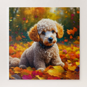 Apricot Poodle Welpe in Herbstlauben