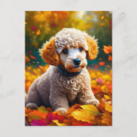 Apricot Poodle Welpe in Herbstlauben