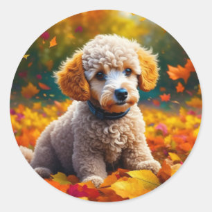 Apricot Poodle Welpe in Herbstlauben Runder Aufkleber
