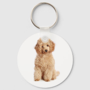 Apricot Poodle Welpe Liebe Hund Schlüsselkette Schlüsselanhänger