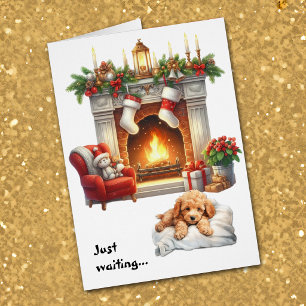 Apricot-Pudel-Welpenhund wartet auf Weihnachten