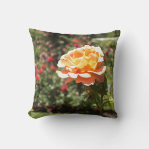 Apricot Rose Throw Kissen