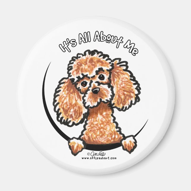 Apricot Toy Miniature Poodle IAAM Magnet (Vorne)