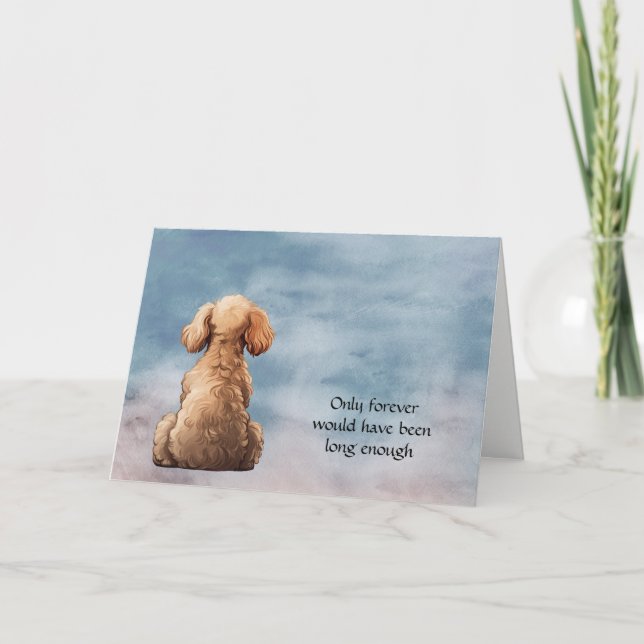 Apricot Toy Poodle Dog Sympathie Karte (Vorderseite)