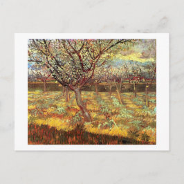 Apricot Trees in Blossom von Van Gogh Postkarte