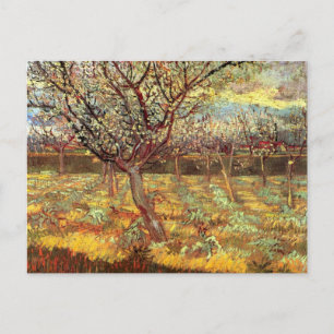 Apricot Trees in Blossom von Vincent van Gogh Postkarte