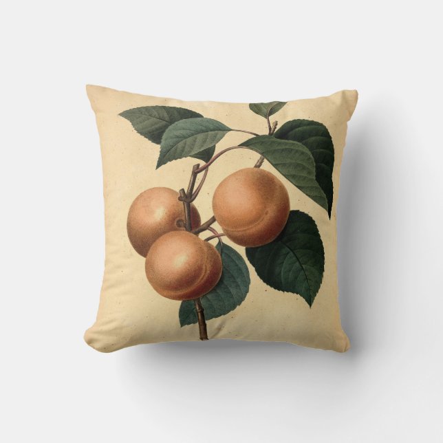 Apricots Botanische Illustration Kissen (Vorderseite)