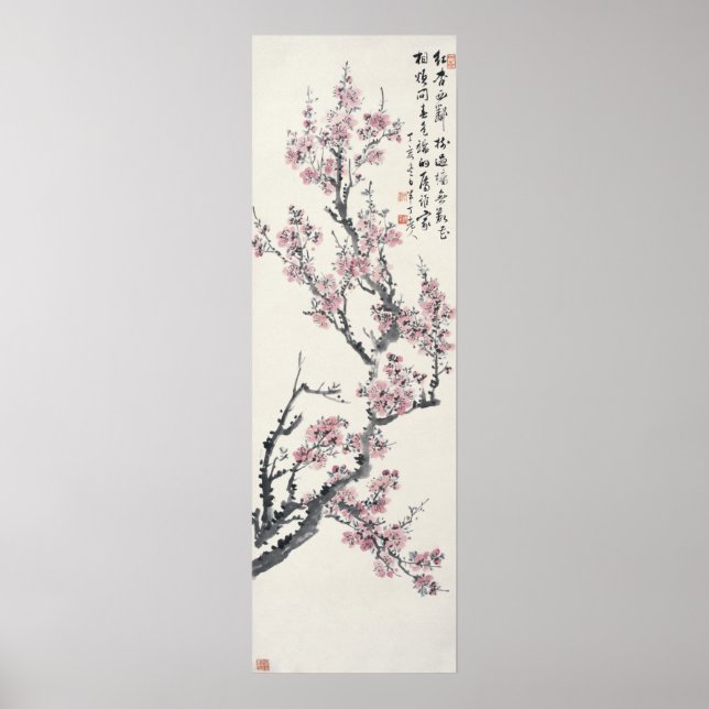 Aprikose Poster (Vorne)