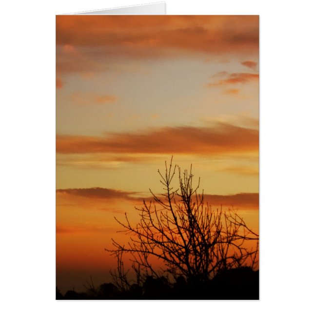 Aprikose skyscapes Karte (Vorne)