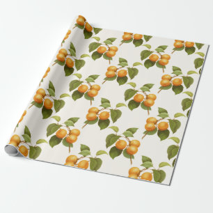 Aprikosen-Druck Geschenkpapier