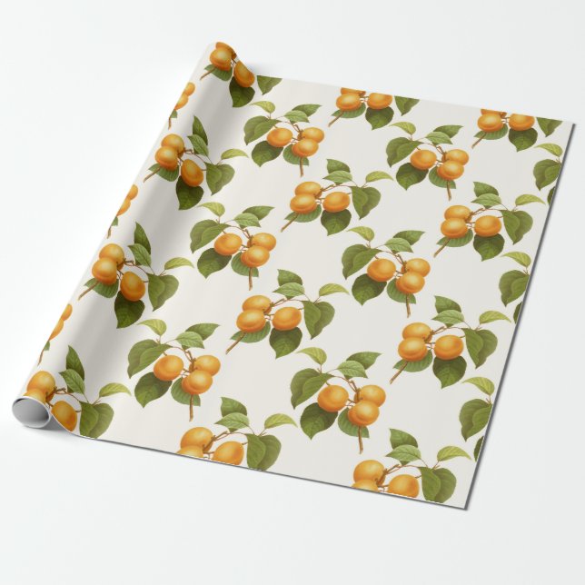 Aprikosen-Druck Geschenkpapier (Ungerollt)