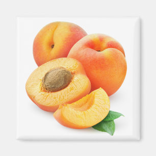 Aprikosen kürzen magnet